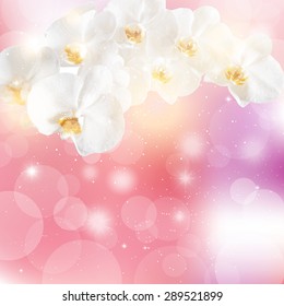 vector illustration of sprigs of white orchids on a pink background.