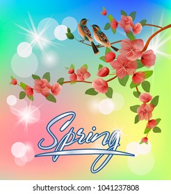 Vector illustration
spring. All wakes up, flowers sakura blossom.Postcard