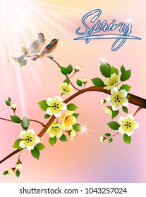Vector illustration spring. All wakes up, flowers sakura blossom. Postcard.