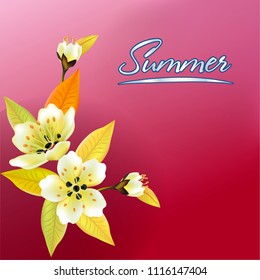 Vector illustration spring. All wakes up, flowers sakura blossom.Postcard 