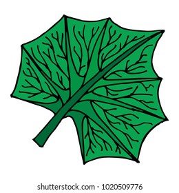 Vector illustration of a spring, autumn leaf. Coloring book. 