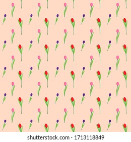 vector illustration for spring background with beautiful flowers