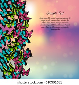 Vector illustration of a spring background with butterflies. Frame for decoration,