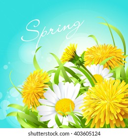 Vector illustration of a spring background with daisies and dandelions