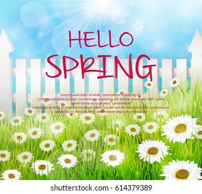 Vector illustration of Spring background with wooden fence and daisies flowers in the grass