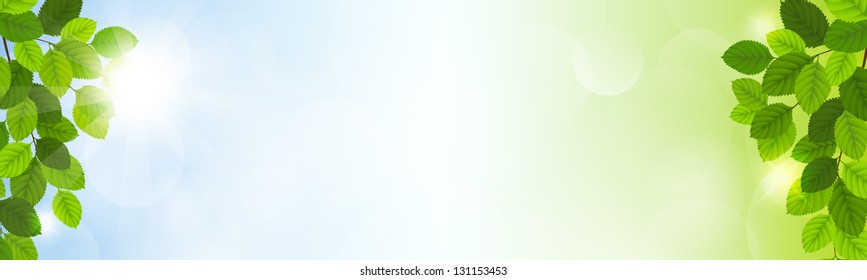 Vector Illustration Of A Spring Banner