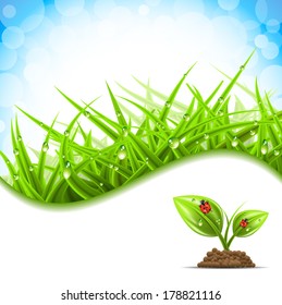 Vector illustration of spring banner.