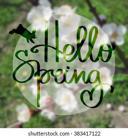 Vector illustration of spring blurred background with apricot blossom tree and text Hello spring