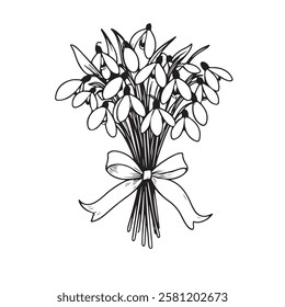 Vector illustration of spring bouquet of snowdrops tied with ribbon, simple linear drawing of flowers isolated on white background. for bouquet design.