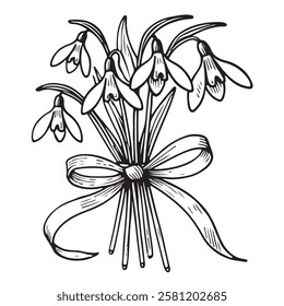 Vector illustration of spring bouquet of snowdrops tied with ribbon, simple linear drawing of flowers isolated on white background. for bouquet design.