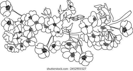 Vector illustration of a spring branch of Cherry, Jasmine. The cherry blossoms. White apricot flowers. Apple tree in bloom. Fragrant delicate wedding card. Doodle sketch style.