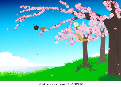 A vector illustration of a spring cherry blossom