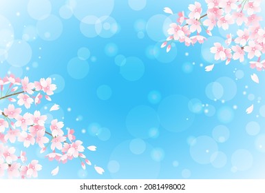 Vector illustration of spring cherry blossoms, blue sky and bokeh