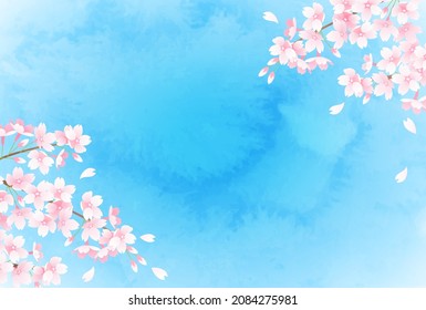 Vector illustration of spring cherry blossoms and blue sky

translation: sakura (cherry-blossom) 