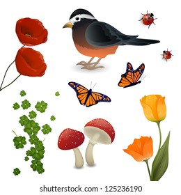Vector Illustration of Spring Elements
