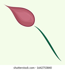 Vector illustration of a spring flower.