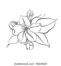 Vector illustration with spring flower