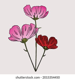 Vector illustration of spring flower (isolated)