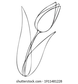Vector illustration of a spring flower. Line art tulip.