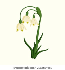 Vector illustration with spring flower the snowdrop. Gardening and spring illustration for background, textile, poster, scrapbooking, set of stickers, greeting cards, party invitations, tags.