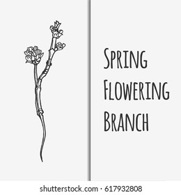 Vector illustration of spring flowering branch. Lineart monochrome image.