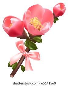 Vector illustration. Spring flowering quince.