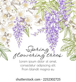 Vector illustration of spring flowering trees in engraving style. Linear branches of blooming cherry and wisteria