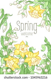 Vector illustration spring flowers spring bouquet narcissus snowdrops lilies of the valley