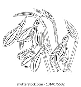 Vector illustration with spring flowers. Monochrome illustration. 