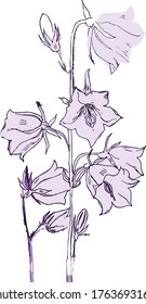 Vektorgrafik der Blumenzettel