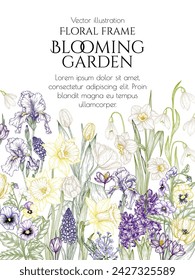 Vector illustration of spring flowers. Snowdrops, crocuses, brunnera, tulips, muscari, hyacinths, irises, daffodil, pansies