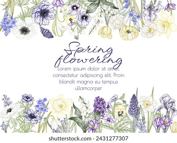 Vector illustration of spring flowers. Snowdrops, crocuses, brunnera, tulips, muscari, hyacinths, irises, daffodil, pansies, lily of the valley, anemone, scilla 