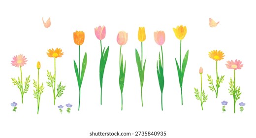 Vector illustration of spring flowers such as tulips and marguerites painted with watercolor and pastel.