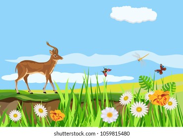 Vector illustration of spring green meadow and hills, flowers, grass and butterflies in pretty landscape, antilope standing