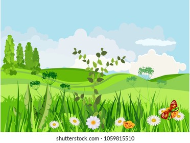 Vector illustration of spring green meadow and hills, flowers, grass and butterflies in pretty landscape