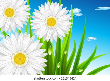 Vector illustration of spring landscape.