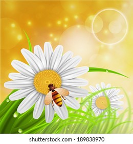 Vector illustration of spring landscape.