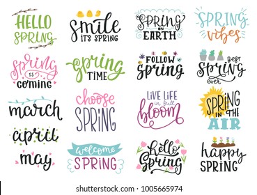 Vector illustration of spring lettering isolated set with decorative elements of sun, chickens, willow, tulip, butterflies, bee, garden