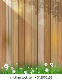 Vector illustration Spring nature background. Green grass and leaf plant, White Gerbera, Daisy flowers and sunlight over wood fence with bokeh effect. Blank space for content or your design