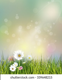 Vector illustration Spring nature field with green grass, white Gerbera, Daisy flowers and wildflowers at meadow and water drops dew on green leaves, Bokeh effect on green pastel color background 