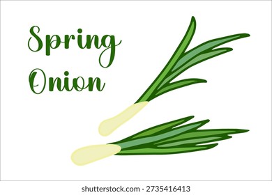 Vector illustration of spring onion.