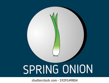 Vector illustration spring onion stock photo