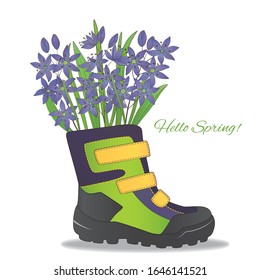 Vector illustration with spring scilla flowers into a boot. All details are drawn separately. It s comfortably for your design