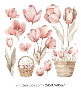 Ilustración vectorial de tulipanes primaverales, delicados tonos pastel, conjunto de flores de Pascua, huevos de Pascua estilo acuarela. iconos aislados sobre fondo blanco.