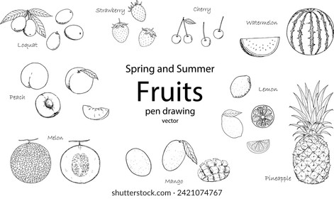 Ilustración vectorial de la primavera y el verano diversos frutos dibujados con una pluma