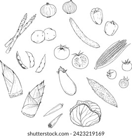 Vector illustration of spring and summer vegetable background drawn with a pen