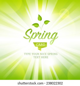 Vector illustration spring themes