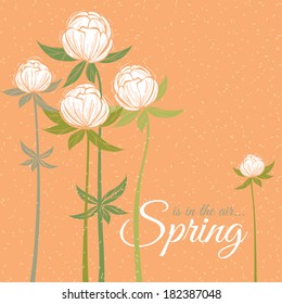 Vector Illustration of  Spring wildflowers