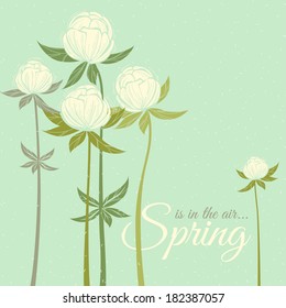 Vector Illustration of Spring wildflowers