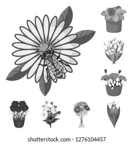 Vector illustration of spring and wreath icon. Set of spring and blossom stock symbol for web.